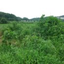 민통선농가집 이미지