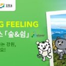 필링트립 이미지