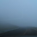 아일랜드 - 태안군 가락금길 180-30 | 아일랜드