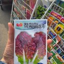 성암상회