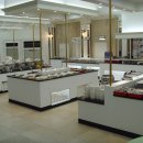 중앙초등학교1 이미지