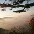 신관용류가야금산조 이미지