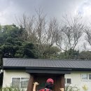 구좌지앵 [제주여행] 비자림 & <b>구좌지앵</b> & 카페바솔트 & 제주공항 플레이팅!