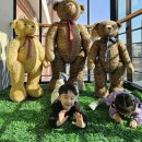 테디베어 이미지