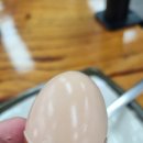 또올집