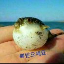 감디자인 이미지
