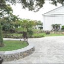 아이아트안경 이미지