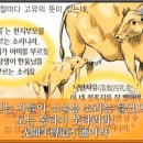 해인도장 이미지