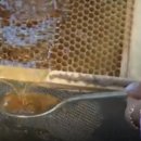 평창봉평메밀식품 네이버블로그