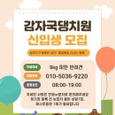 감자국댕치원 이미지