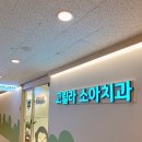 고릴라소아치과의원 이미지