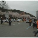 진해군항제▶ 해군사관학교 거북선과 비 맞은 벚꽃 풍경 이미지