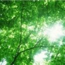 항균농장 이미지