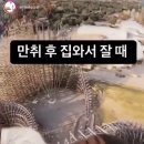 술 진탕 마시고 집에 와서 잘때 ㅋㅋㅋㅋㅋ 이미지