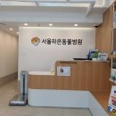 하은동물병원 이미지