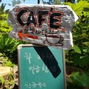 솔빛바다 이미지