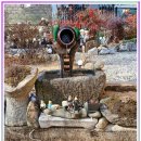 소리도민박 | 대전 감성 민박 찾다가 결국 여기까지 조용한 독채 촌캉스의 하루 기록