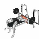 프레스밀 이미지