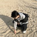 널부르는소리야 이미지