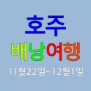 24년 11월 22일 호주 시드니 배낭여행 10일 ==＞마감 이미지