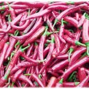 은혜고추방앗간 이미지