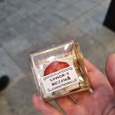 [맛집] 샤브올데이 잠실본점 내돈내산 리얼후기