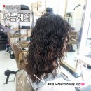 김해 진영 미용실 추천 : 40년 노하우의 맞춤 히피펌 &lt;오늘헤어&gt;