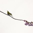 배화학교 이미지