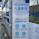 한미세탁소 | 겨울이불 / 카페트 빨래 고온건조 시스템으로 이불속진드기 세균제거 강력한 항균효과 직접방문 솔직후기
