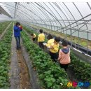 입암초교병설유치원 이미지