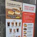 하이카스텔라