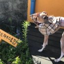 서부상회식당 이미지