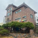 익산애견테마파크 이미지