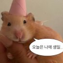 천영