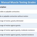 도수파워 이미지