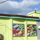 신지면-2 이미지