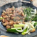 굼벵이캠핑농원 | 태안 바닷가 캠핑장 추천 굼벵이캠핑장 애견동반가능 숲과 바다가 함께있는 힐링캠핑