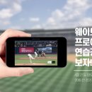 웨이브 이미지