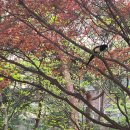 개포까치공인중개사사무소 이미지