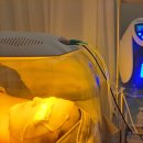 이로운에스테틱 이미지