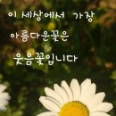 너에게, 꽃이다 이미지