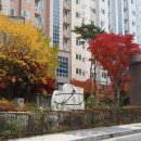 센트레빌 아파트 인근 이미지