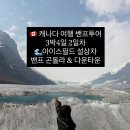 대박Time마트 | 캐나다 여행 밴프투어 3박4일 2일차 아이스필드 설상차 밴프 곤돌라 다운타운