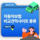 다모아자동차서비스 | 자동차보험 비교견적 사이트 종류와 이용 팁