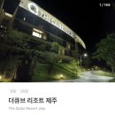 제주도 더큐브 리조트 제주 12.20~22 이미지