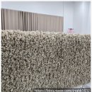 영종 세탁 이미지