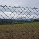 순례농장 이미지