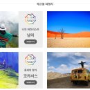 작은별여행사