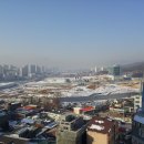 광일정육점