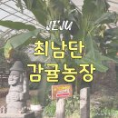 자은농장 | 제주도 최남단감귤농장 아이랑 방문 후기 동쪽코스